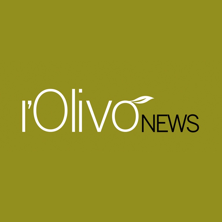 L'Olivo News L'Olivo News