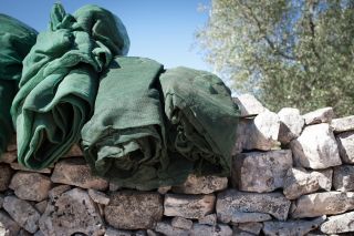 Olio Intini de Alberobello: «Empresa del Año» Flos Olei Olio Intini de Alberobello: «Empresa del Año» Flos Olei