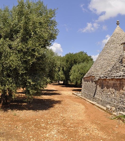 Olio Intini de Alberobello: «Empresa del Año» Flos Olei Olio Intini de Alberobello: «Empresa del Año» Flos Olei