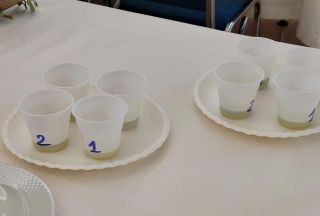 89ca7253-55ad-48ba-b6fc-c15a2518f9b5_web